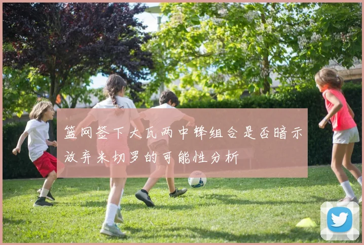 篮网签下大瓦两中锋组合是否暗示放弃米切罗的可能性分析