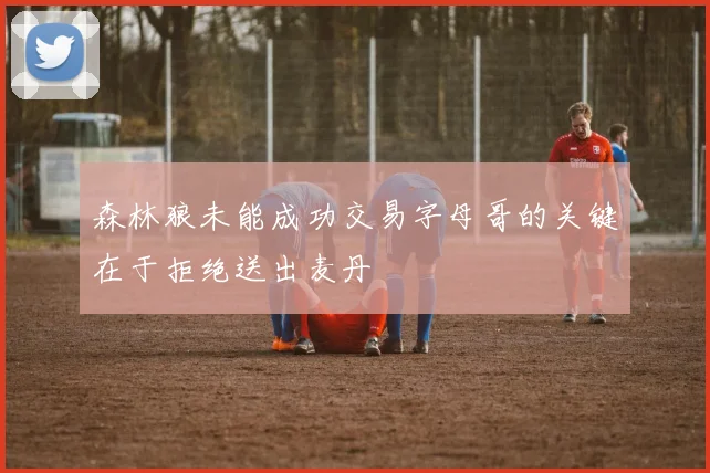 森林狼未能成功交易字母哥的关键在于拒绝送出麦丹