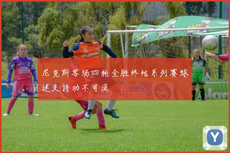 尼克斯客场四轮全胜终结系列赛球迷支持功不可没