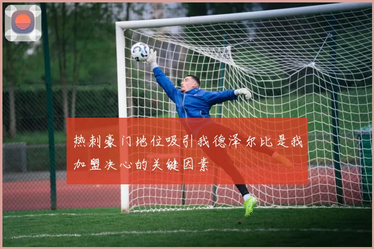 热刺豪门地位吸引我德泽尔比是我加盟决心的关键因素